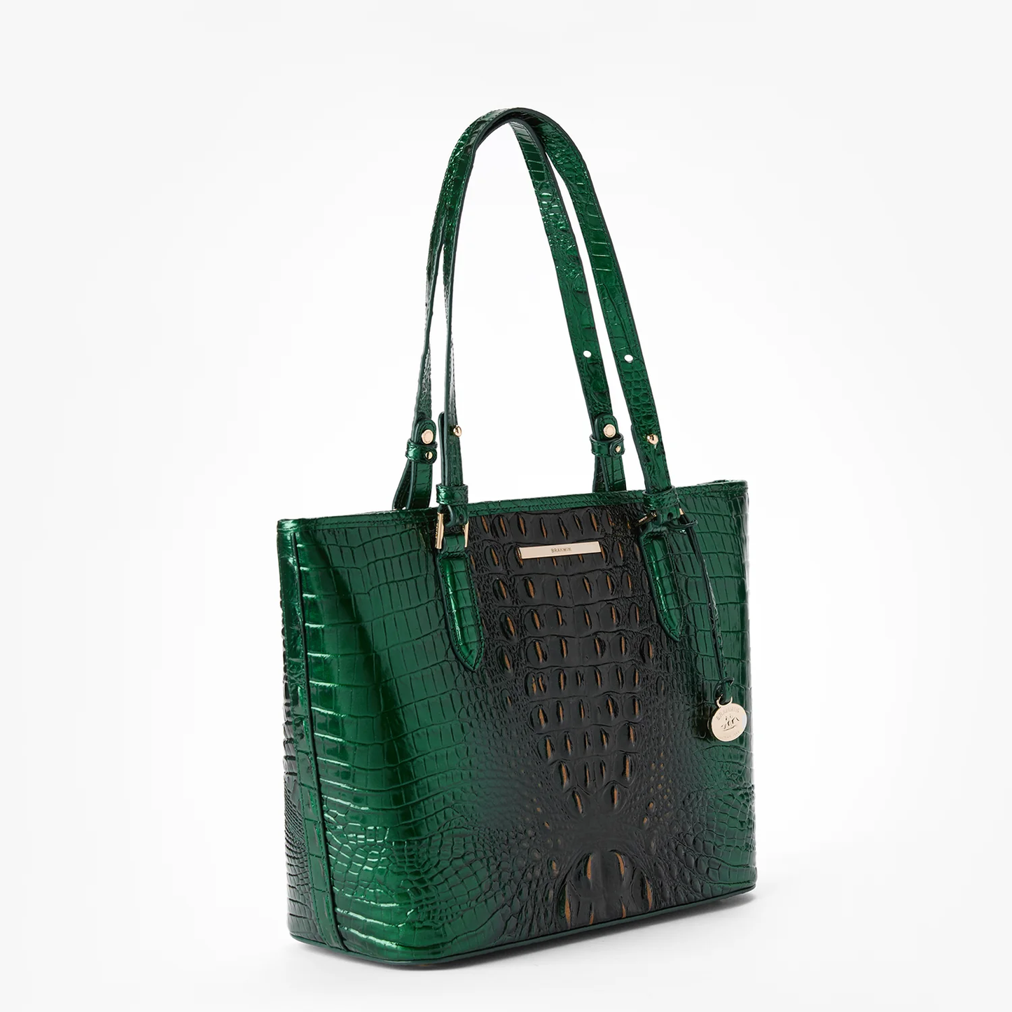 Brahmin Melbourne Collection Medium Asher Tote, Evergreen Ombre